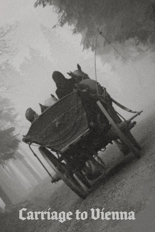 Carriage to Vienna